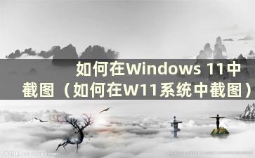 如何在Windows 11中截图（如何在W11系统中截图）